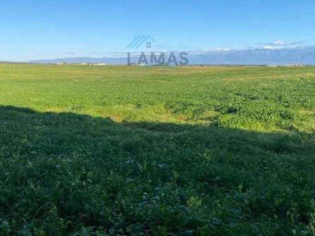 Terreno en venta en Belvís De Monroy, Extremadura