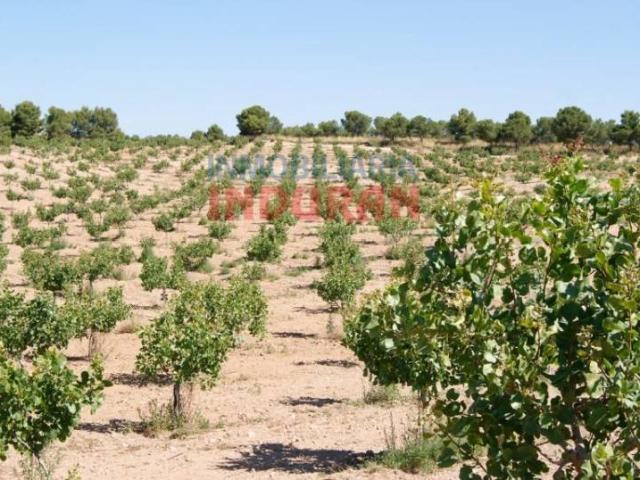 Terreno en venta en Belvís De Monroy, Extremadura