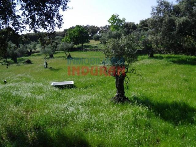 Terreno en venta en Belvís De Monroy, Extremadura
