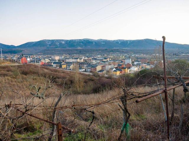 Terreno en venta en Bembibre
