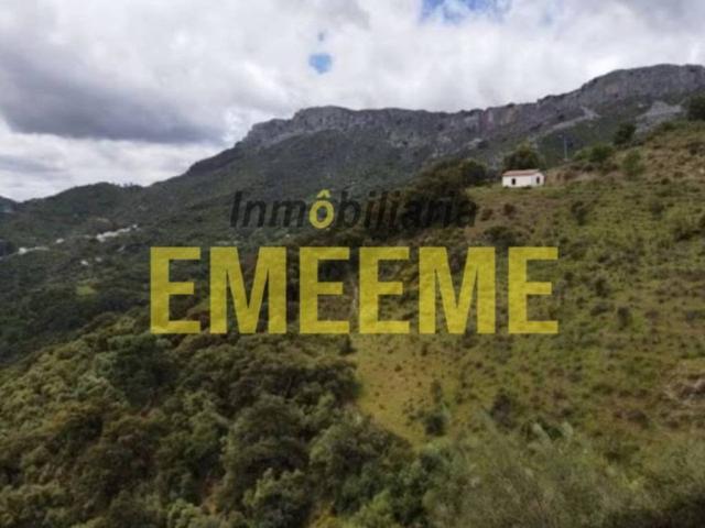 Terreno en venta en Serranía de Ronda, Andalucía