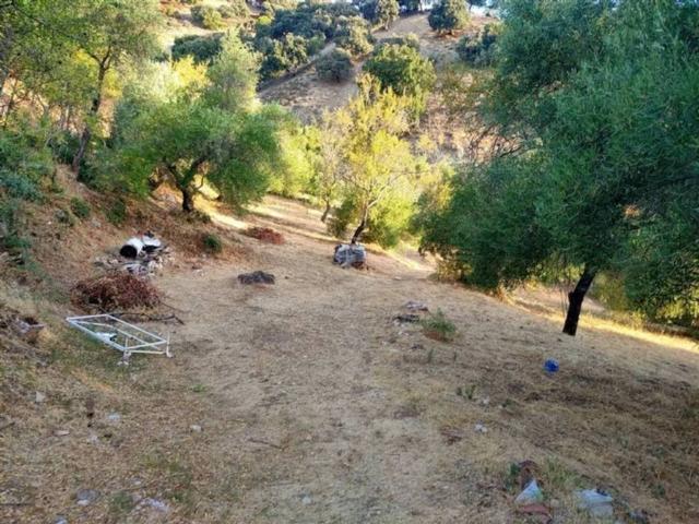 Terreno en venta en Serranía de Ronda, Andalucía