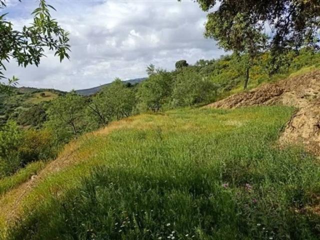 Terreno en venta en Serranía de Ronda, Andalucía