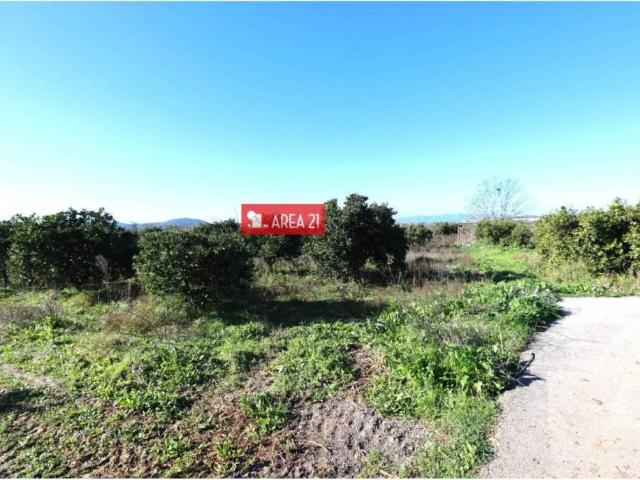 Terreno en venta en el Camp de Túria, Valencia