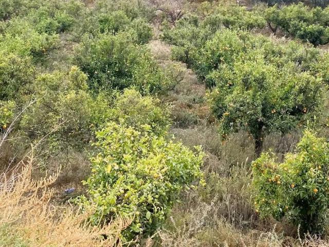 Terreno en venta en Benahadux, Andalucía