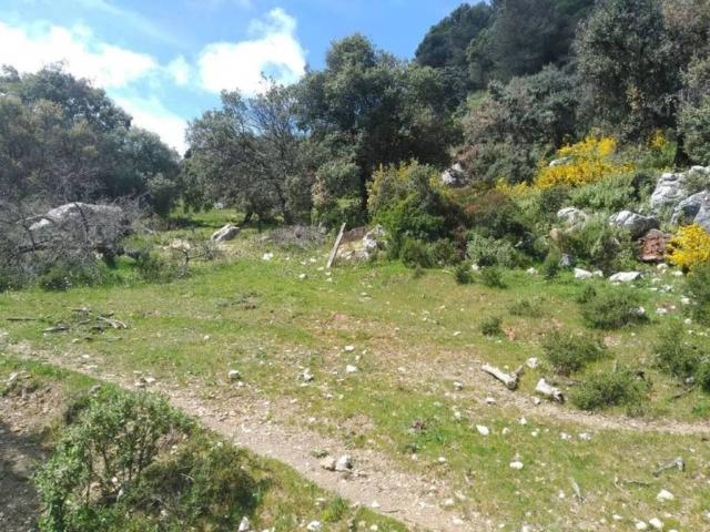 Terreno en venta en Serranía de Ronda, Andalucía