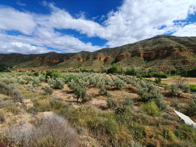 Terreno en venta en Comarca de Guadix, Andalucía