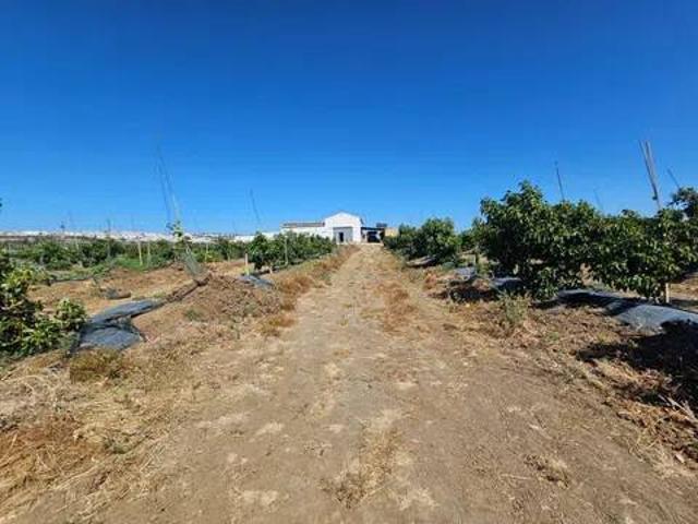 Terreno en venta en La Janda, Andalucía