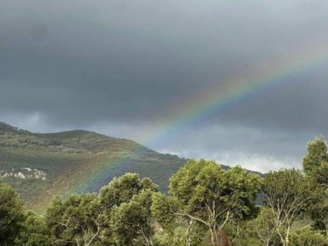 Terreno en venta en La Janda, Andalucía