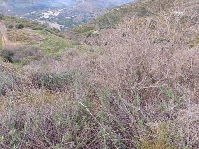 Terreno en venta en La Axarquía, Andalucía