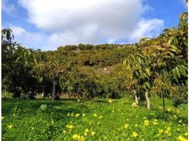 Terreno en venta en La Axarquía, Andalucía