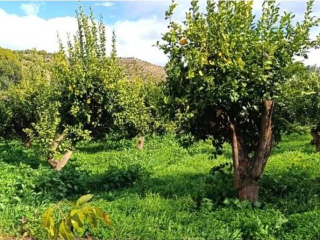 Terreno en venta en La Axarquía, Andalucía