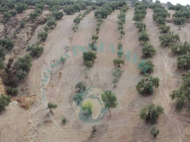 Terreno en venta en Benamejí, Andalucía
