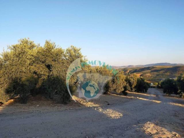 Terreno en venta en Benamejí, Andalucía
