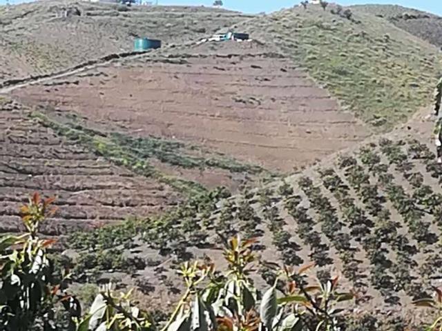 Terreno en venta en Benamocarra
