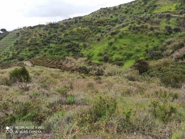 Terreno en venta en Benamocarra