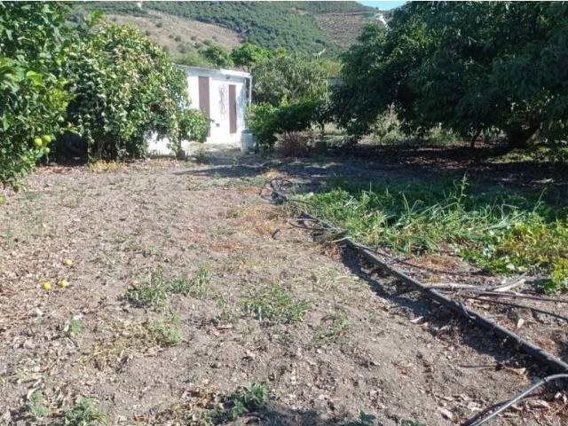 Terreno en venta en Benamocarra