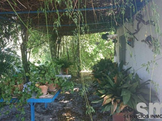 Terreno en venta en Sierra de Cádiz, Andalucía