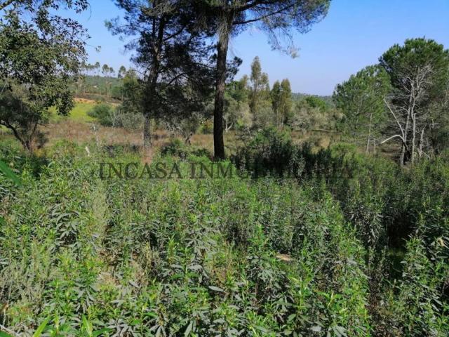Terreno en venta en Sierra de Cádiz, Andalucía