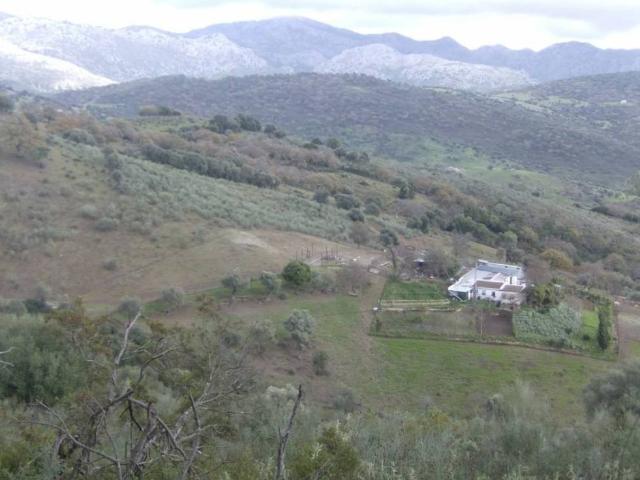 Terreno en venta en Sierra de Cádiz, Andalucía
