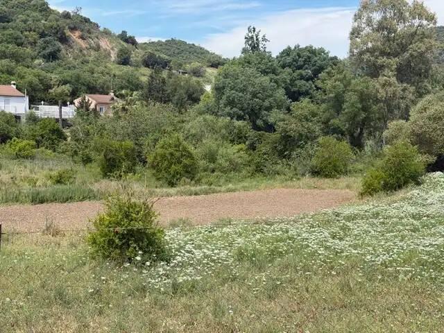 Terreno en venta en Sierra de Cádiz, Andalucía