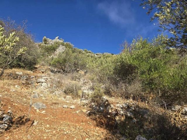 Terreno en venta en Serranía de Ronda, Andalucía