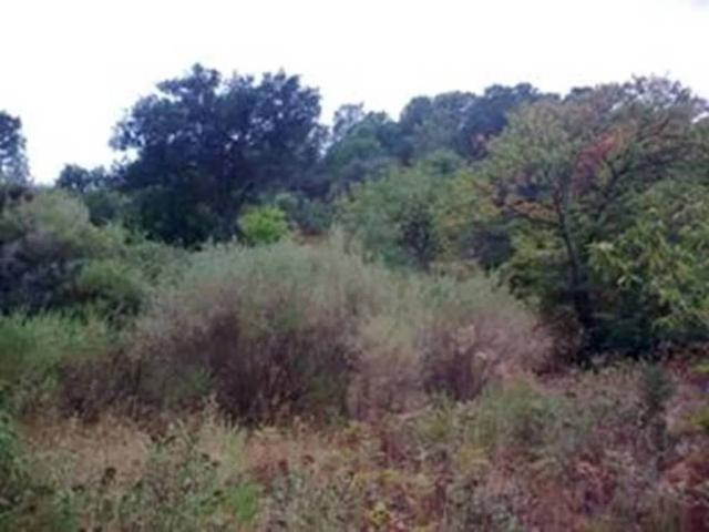 Terreno en venta en Serranía de Ronda, Andalucía