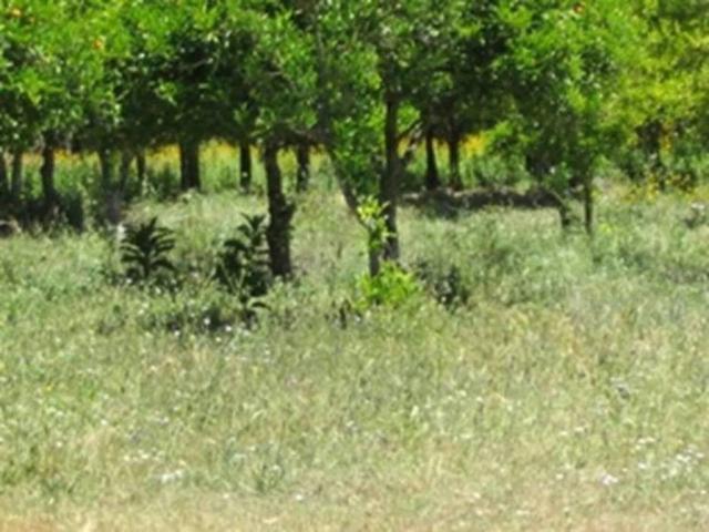 Terreno en venta en Serranía de Ronda, Andalucía