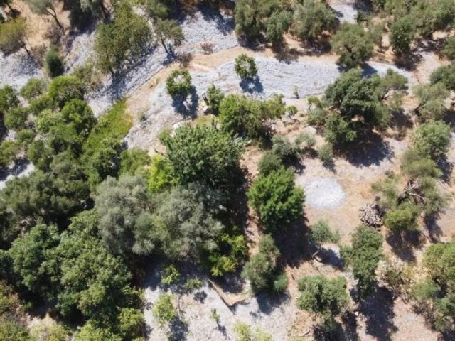 Terreno en venta en Serranía de Ronda, Andalucía