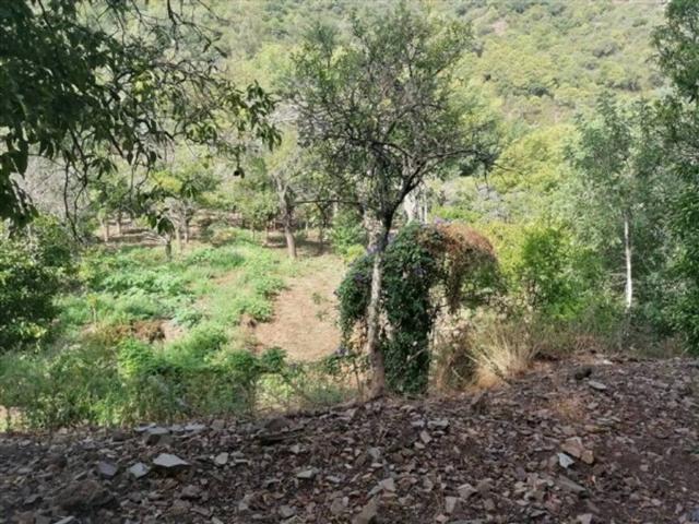 Terreno en venta en Serranía de Ronda, Andalucía