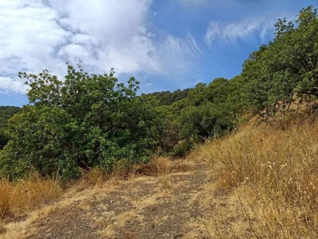Terreno en venta en Serranía de Ronda, Andalucía