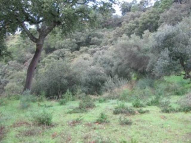 Terreno en venta en Serranía de Ronda, Andalucía