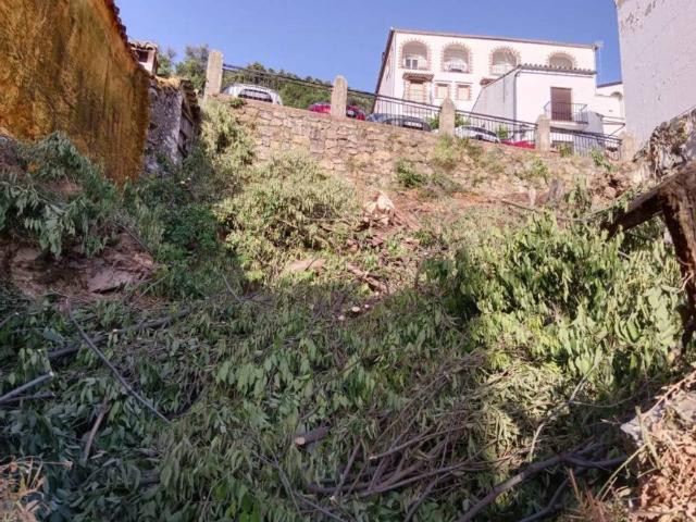 Terreno en venta en Serranía de Ronda, Andalucía