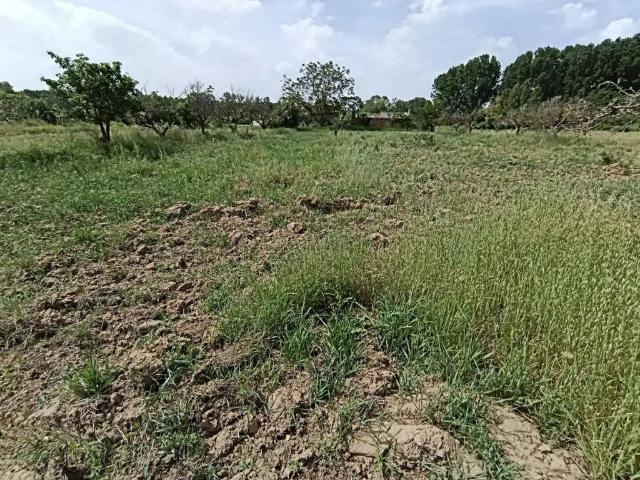 Terreno en venta en Benavente, Castilla y León