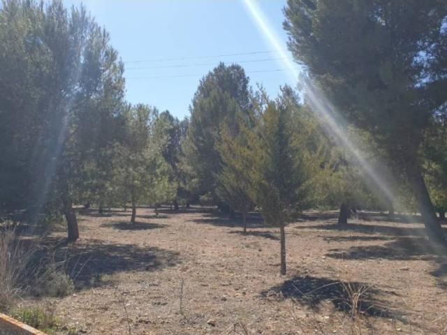 Terreno en venta en l'Alt Vinalopó / El Alto Vinalopó, Valencia