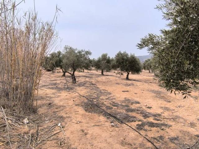 Terreno en venta en l'Alt Vinalopó / El Alto Vinalopó, Valencia