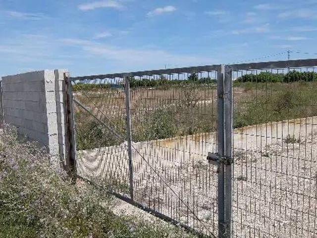 Terreno en venta en el Baix Segura / La Vega Baja, Valencia