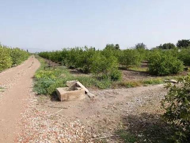 Terreno en venta en el Baix Segura / La Vega Baja, Valencia