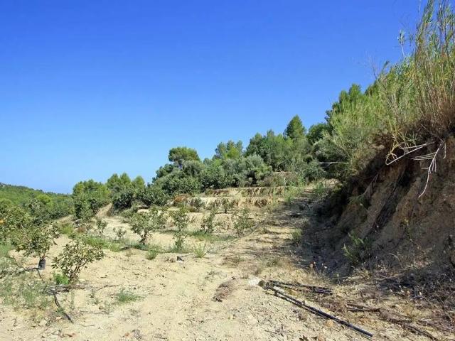 Terreno en venta en la Marina Alta, Valencia