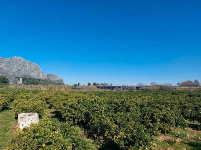 Terreno en venta en la Marina Alta, Valencia