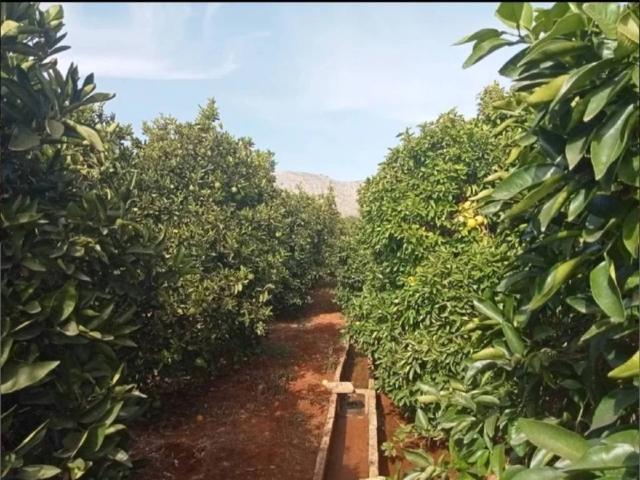 Terreno en venta en Beniarbeig, Valencia