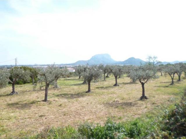 Terreno en venta en Beniarbeig, Alacant / Alicante
