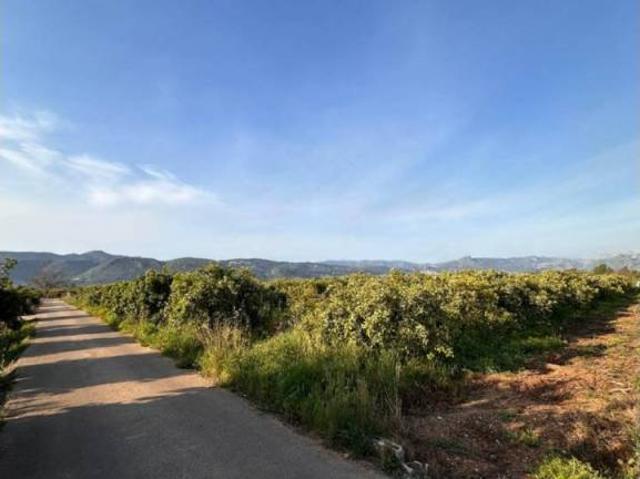 Terreno en venta en Beniarbeig, Valencia