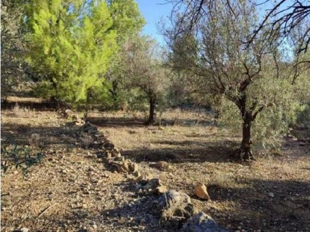 Terreno en venta en la Marina Alta, Valencia