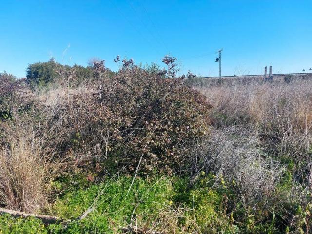 Terreno en venta en Beniarbeig