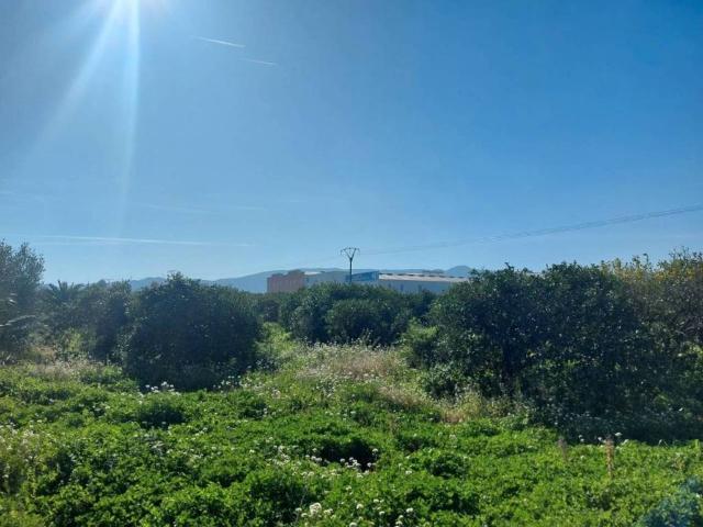 Terreno en venta en la Marina Alta, Valencia