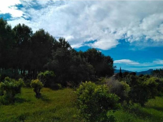 Terreno en venta en la Marina Alta, Valencia