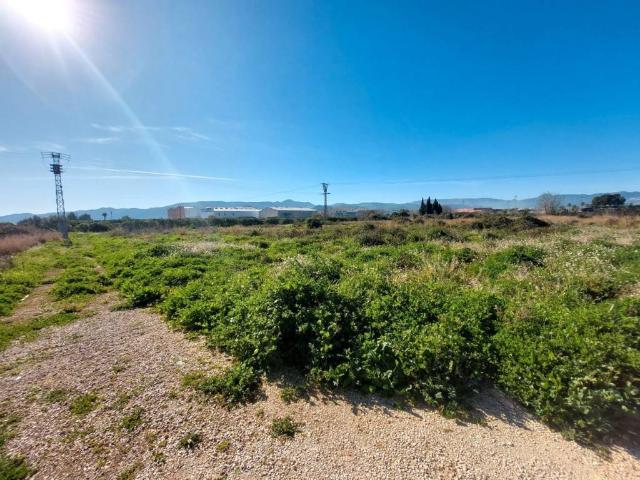 Terreno en venta en Beniarbeig, Valencia