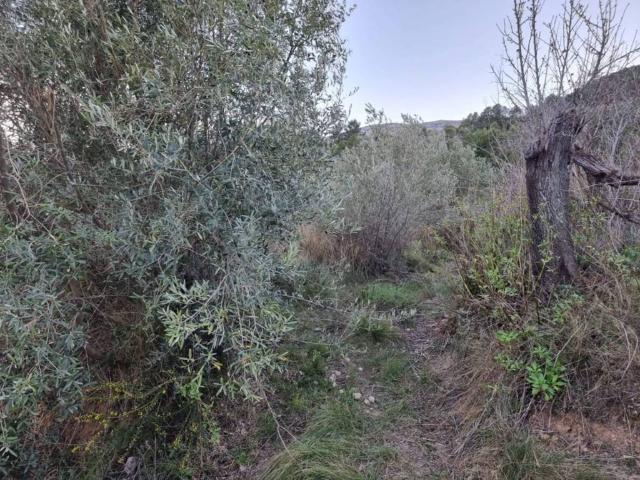 Terreno en venta en la Marina Baixa, Valencia