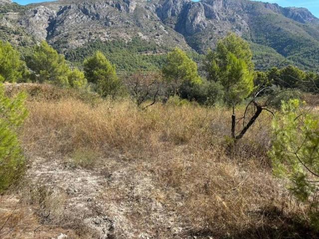 Terreno en venta en Beniardà, Alacant / Alicante